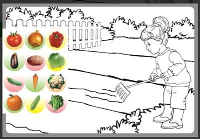 עבודת יצירה גינת ירק+ מדבקות <BR> 36 יח