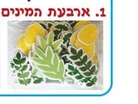 מדבקות סול ארבעת המינים
