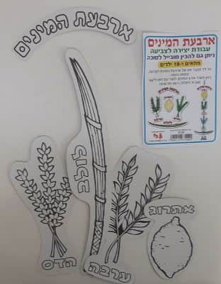 יצירה ארבעת המינים לצביעה <BR>18 ילדים